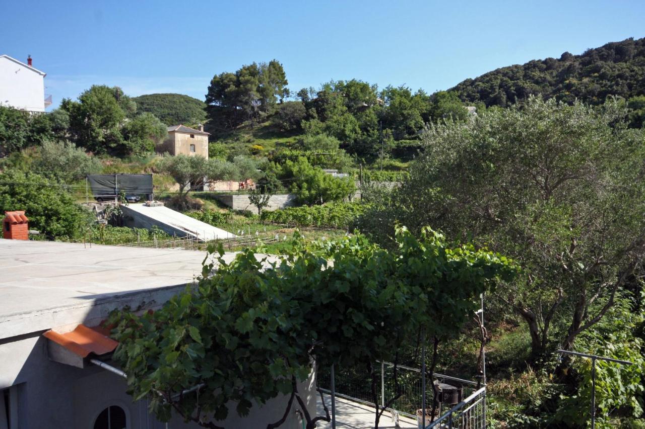 Family friendly apartments with a swimming pool Supetarska Draga - Donja, Rab - 2019 Exteriör bild